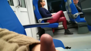 Brunette Stranger Sucks Cock In The Train