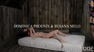 Femdom Dominica Phoenix Rewards Her Skinny Redhead Submissive With A Pussy In Her Face